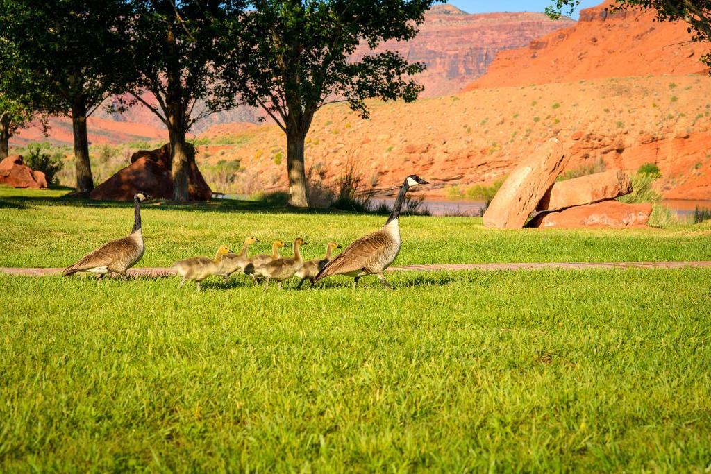 Sorrel River Ranch Resort & Spa Moab Exterior foto